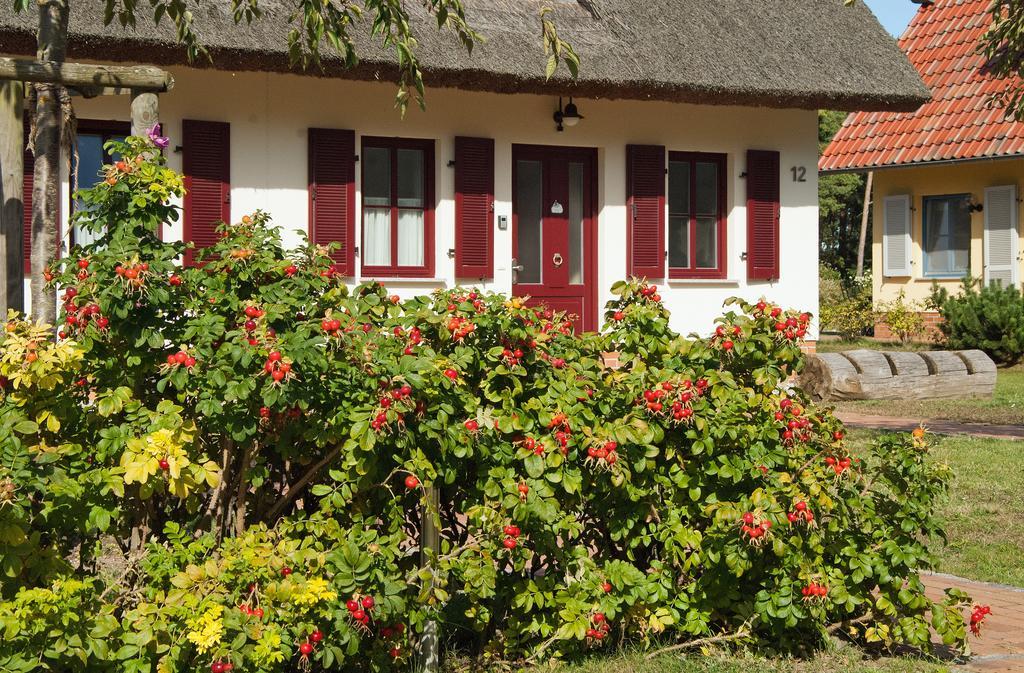 Duenenresidenz Glowe - Haus Luisa Eksteriør billede